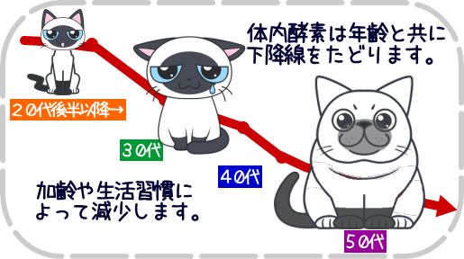 体内酵素は、体内で生成できる量に限界があり、年齢と共に体内で生成できる酵素は減少します。