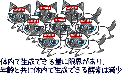 栄養の吸収を優先して酵素を消費するので、消化酵素を消費しすぎると、代謝酵素が不足します。1